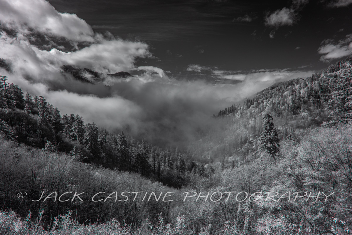  2021 11 02 - Mist at Ben Morton's Overlook - Smoky Mountains NP, Tennessee 