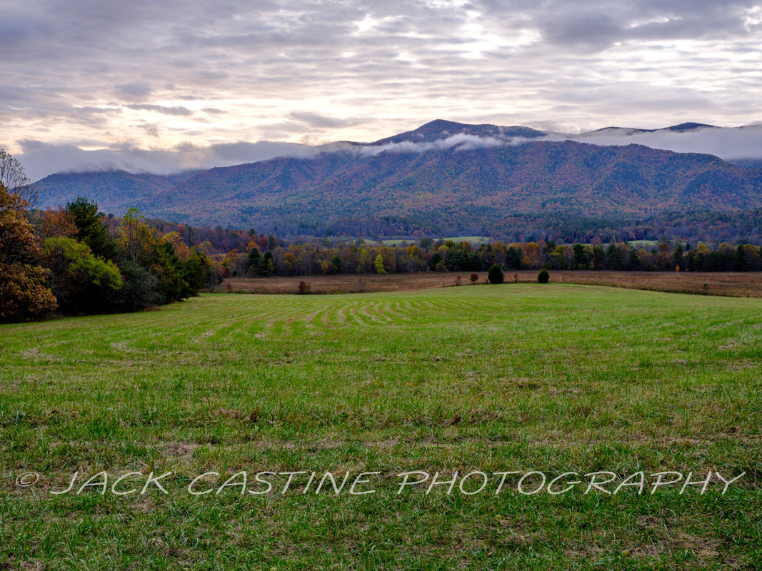  2021 11 03 - Cade's Cove - Smoky Mountains NP, Tennessee 
