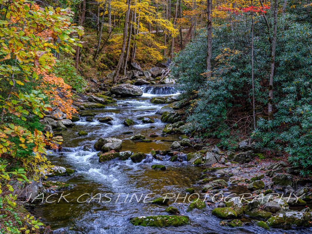  2021 11 03 - Middle Prong Little River from Upper Tremont Road - Smoky Mountains NP, Tennessee 