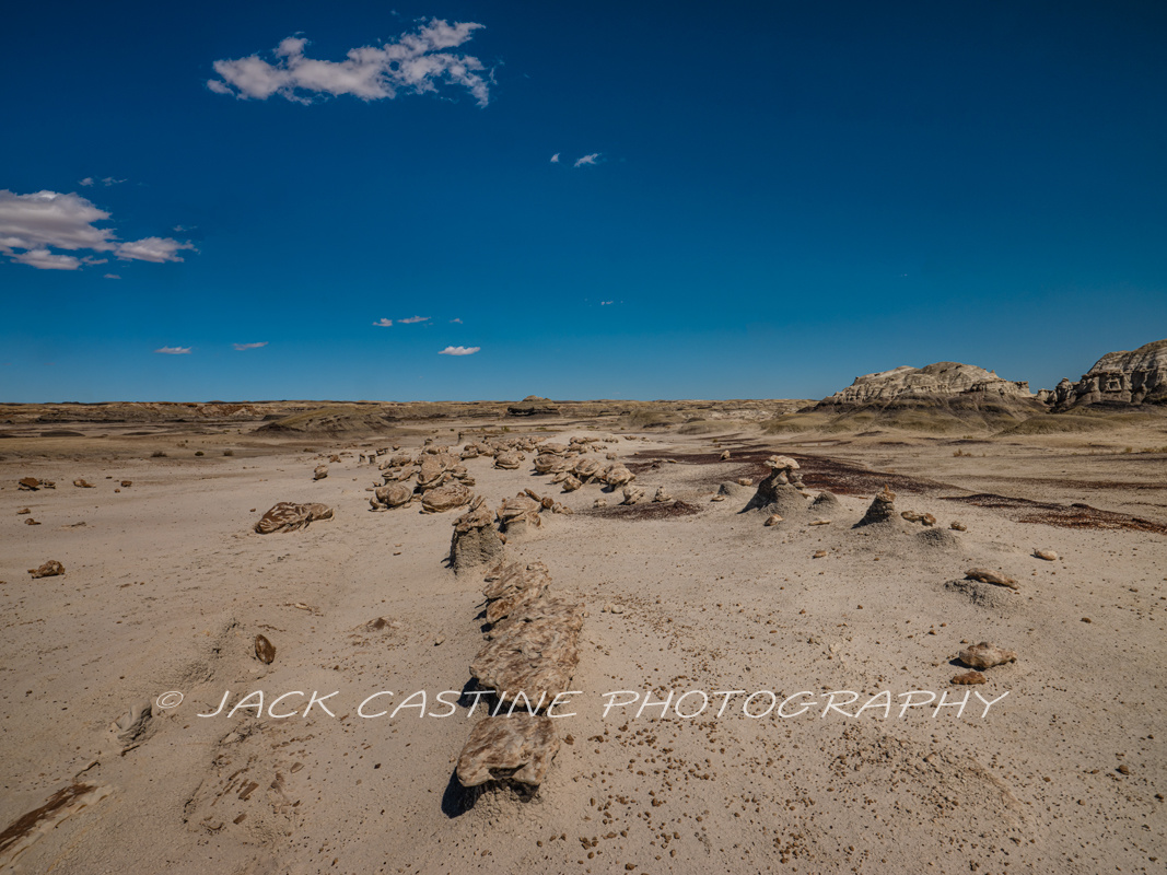  2019 09 21 - The Egg Garden - Bisti Badlands/De-Na-Zin Wilderness - Bloomfield, NM 