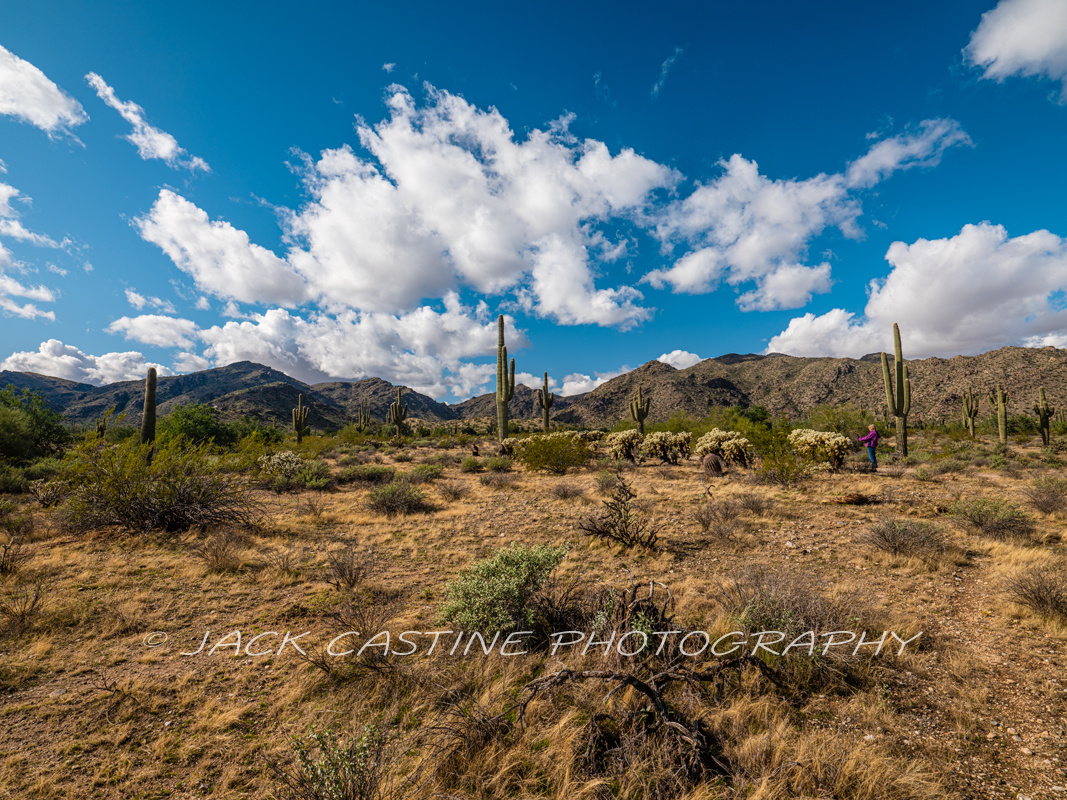  2019 11 29 - Sonoran Loop - White Tank Mountain Regional Park - Waddell, AZ 