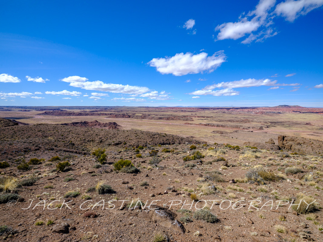  2023 02 24 - Little Lithodendron Wash from Pintado Point  - Petrified Forest NP, Arizona 