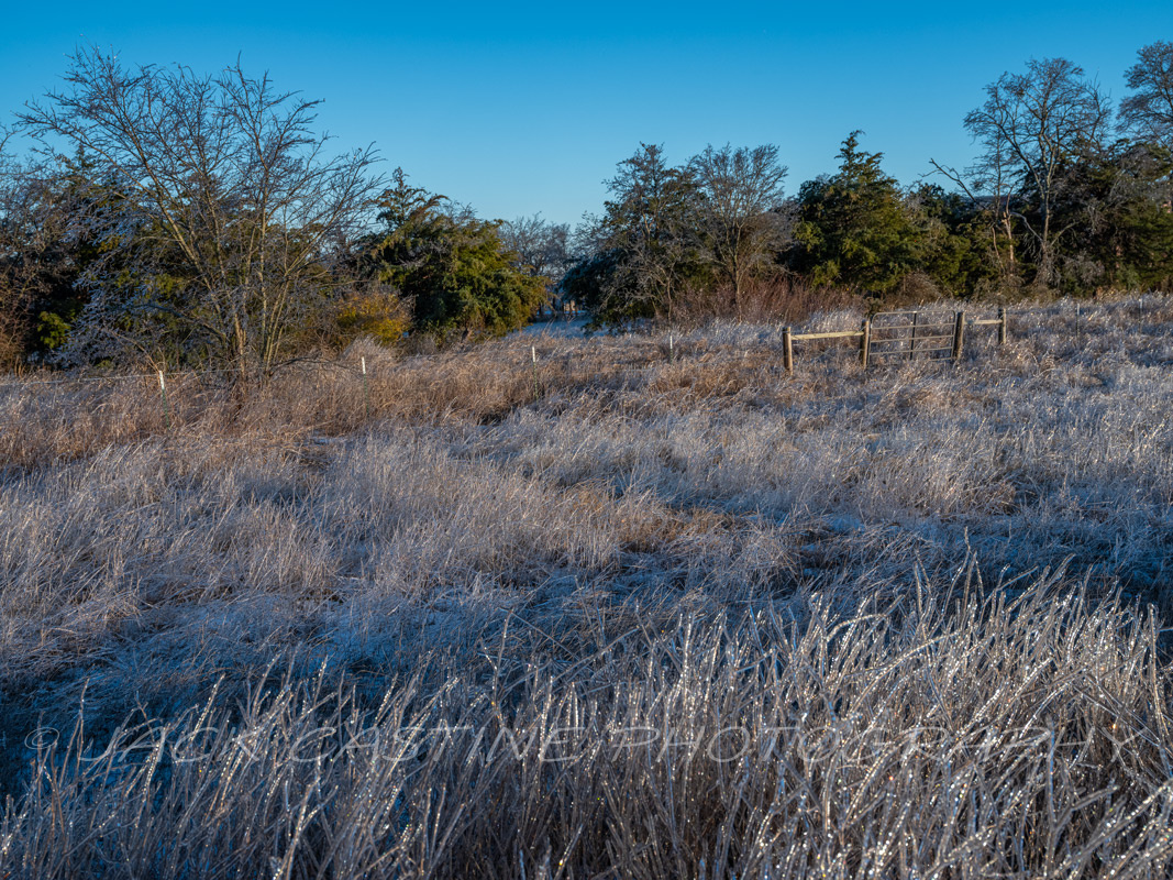  2022 02 04 - Ice Storm - Anna, Texas 
