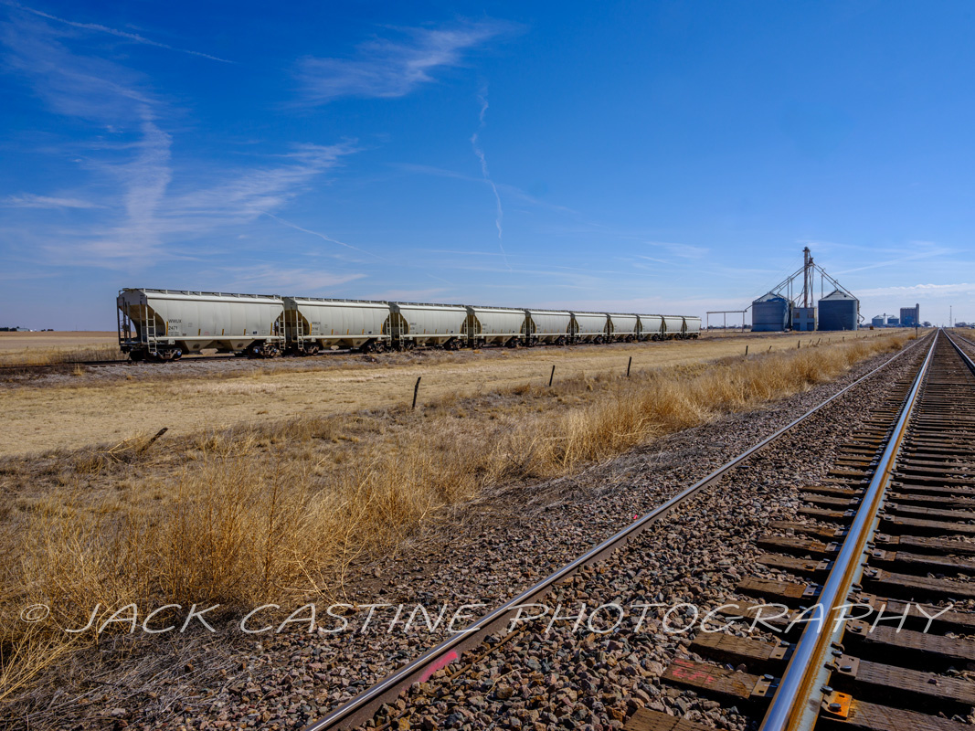  2023 03 08 - Grain Silos and Grain Cars - Amarillo, Texas 