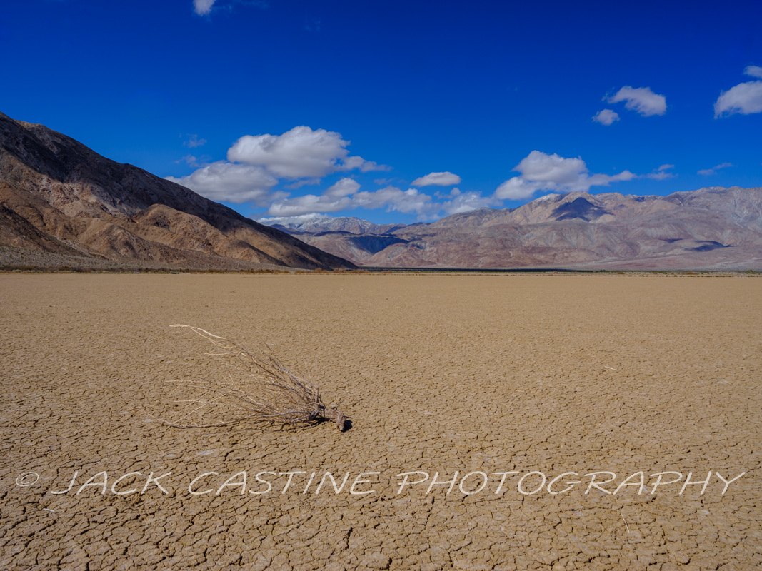  2023 02 27 - Clark Dry Lake - Anza-Borrego Desert St Pk, - Borrego Springs, California  