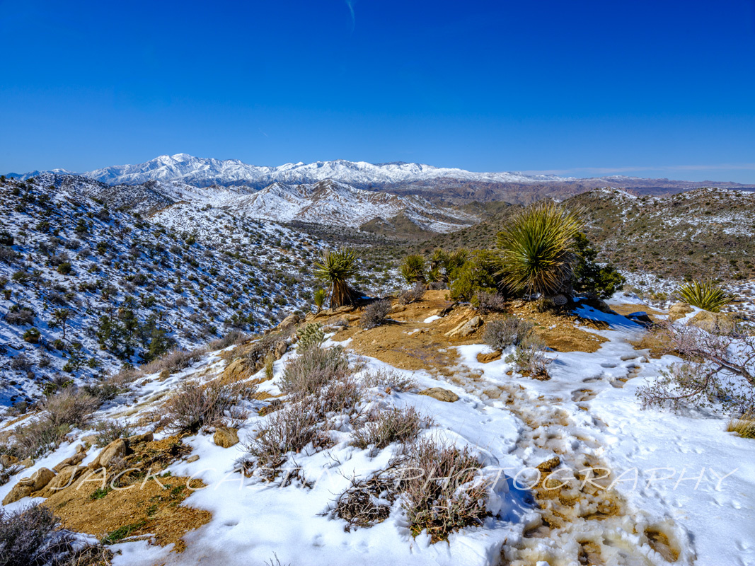  2023 03 02 - Hi-View Trail Pinnacle - Joshua Tree NP, California  