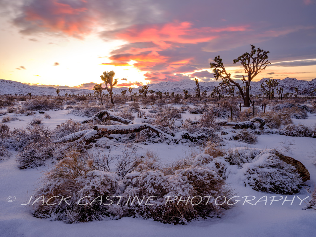  2023 03 01 - Snow and Sunset - Lost Horse Valley - Joshua Tree NP, California 