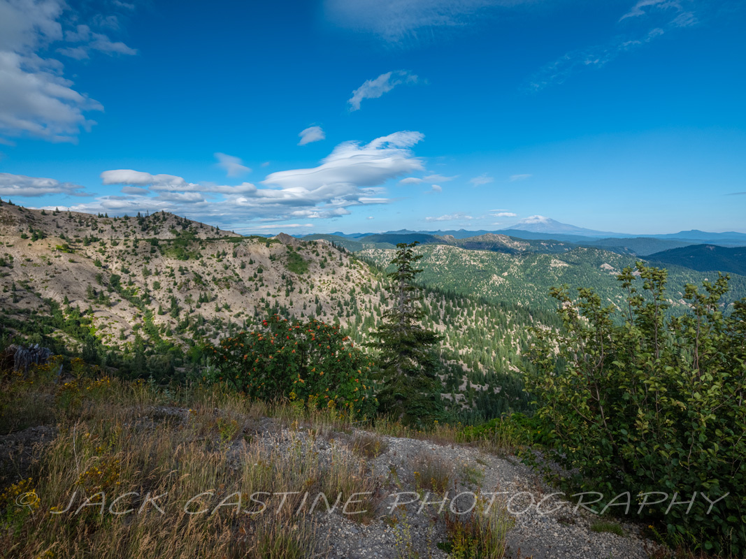  2021 08 16 - Mt. Adams from Mount St. Helens National Volcanic Monument 