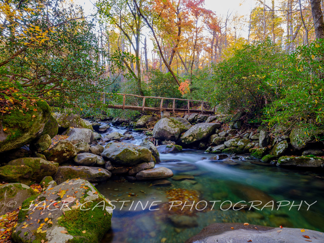  2021 11 01 - Porters Creek Trail Bridge - Smoky Mountains NP, Tennessee 