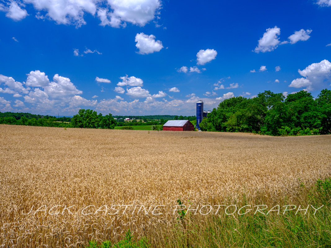  2022 06 25 - Detrick Road Farm - Mt. Airy, Maryland 