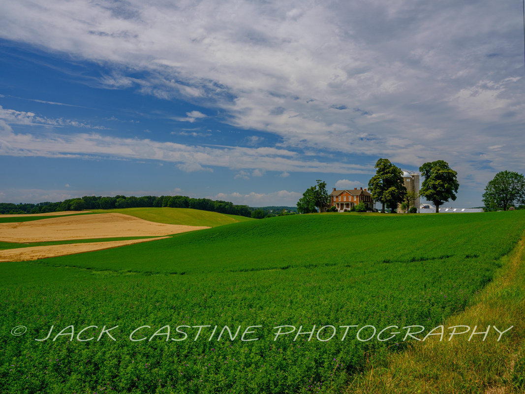  2022 06 27 - England Farms - Mt. Airy, Maryland 