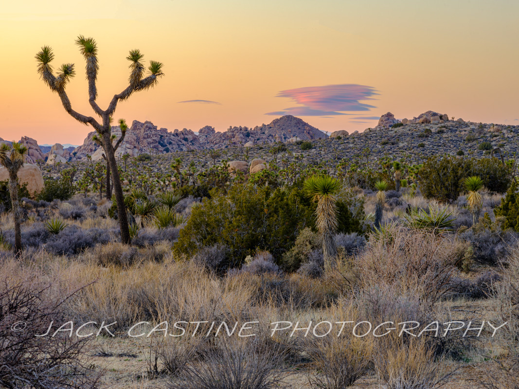  2023 02 26 - Sunset and Lenticular Clouds - Joshua Tree NP, California 