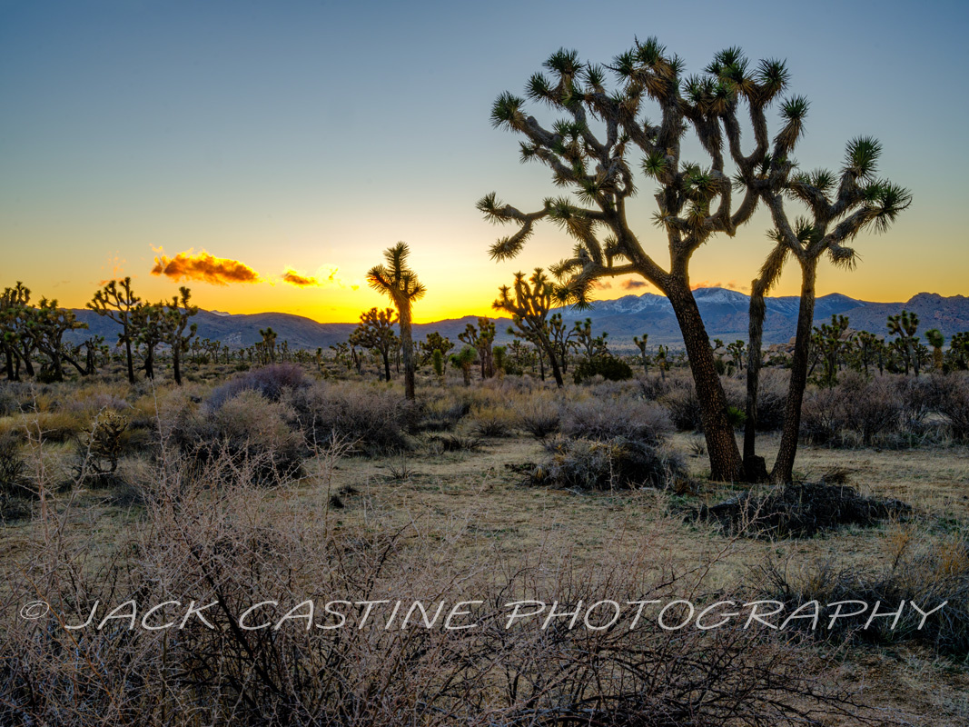  2023 02 26 - Sunset - Joshua Tree NP, California 