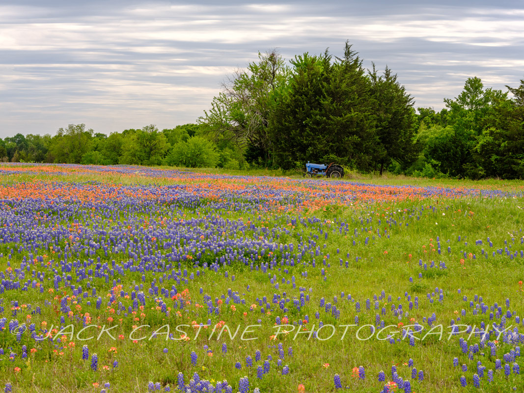  2023 04 22 - Tractor and Wildflowers on Ranch - Ellis County, Texas 