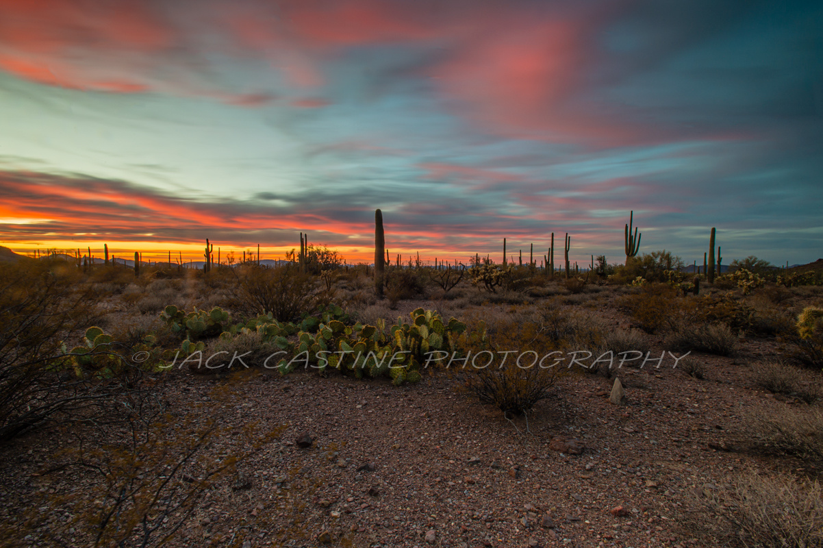  2018 03 03 - Sunset - Alamo Canyon - Organ Pipe Cactus National Monument - Ajo, Arizona 